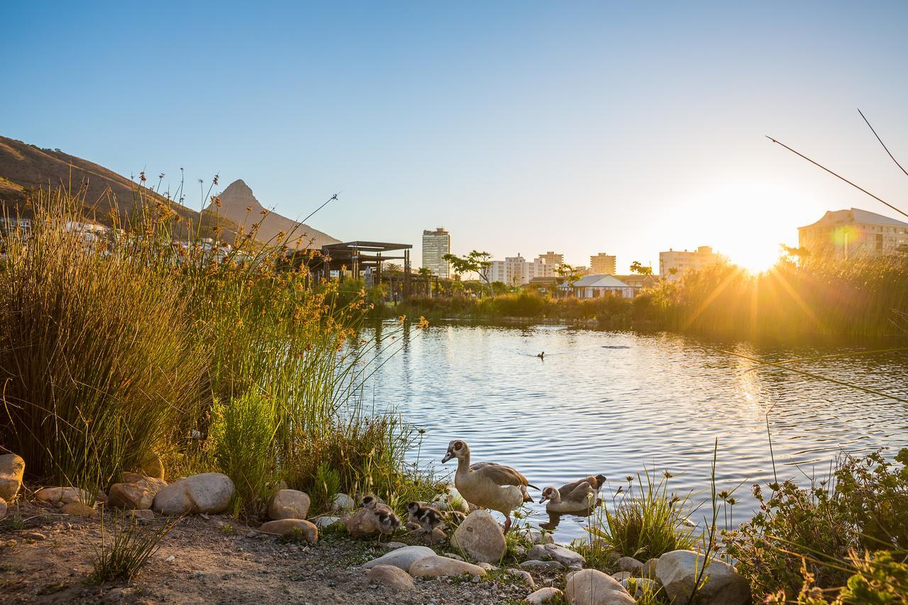 Cape Royale Apartment 810 Kaapstad Buitenkant foto
